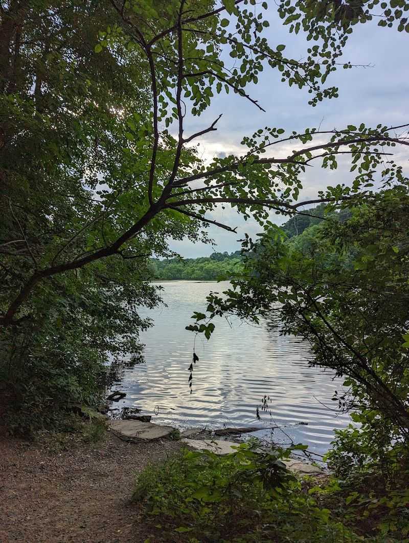 Morning Jogs and Mindful Walks: Finding Your Pace Morning Jogs and Mindful Walks: Finding Your Pace