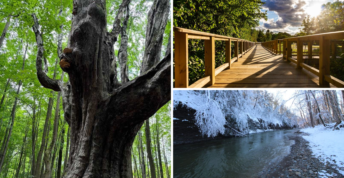 Most Pennsylvanians Have Never Heard of This remarkable Nature Preserve