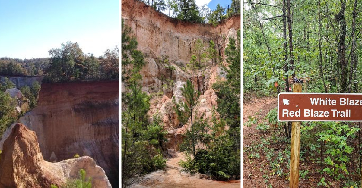 Most People Never Expect To Find A Grand Canyon–Like Landscape In Georgia