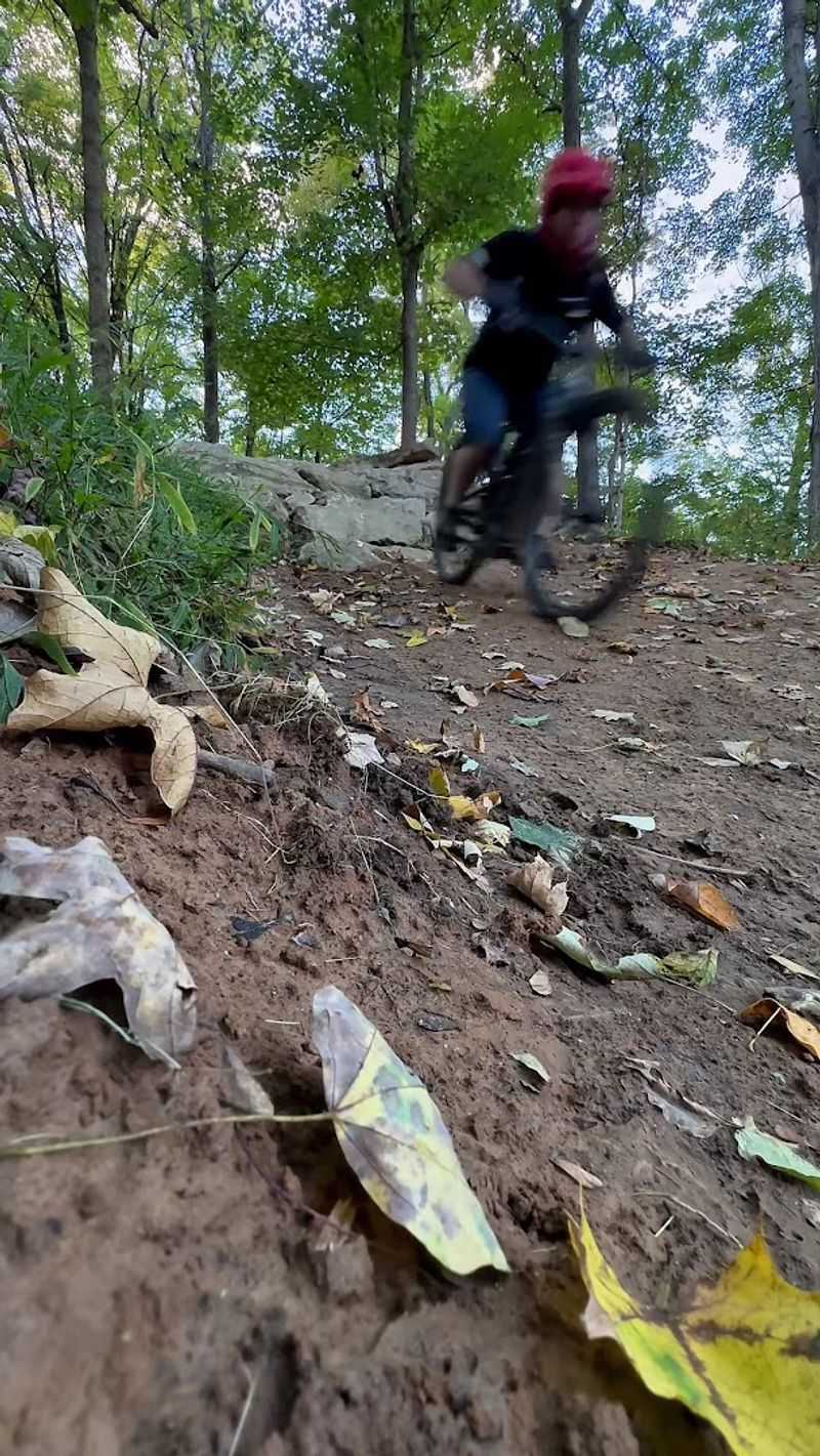 Mountain Bike Trails Marked Through the Woods
