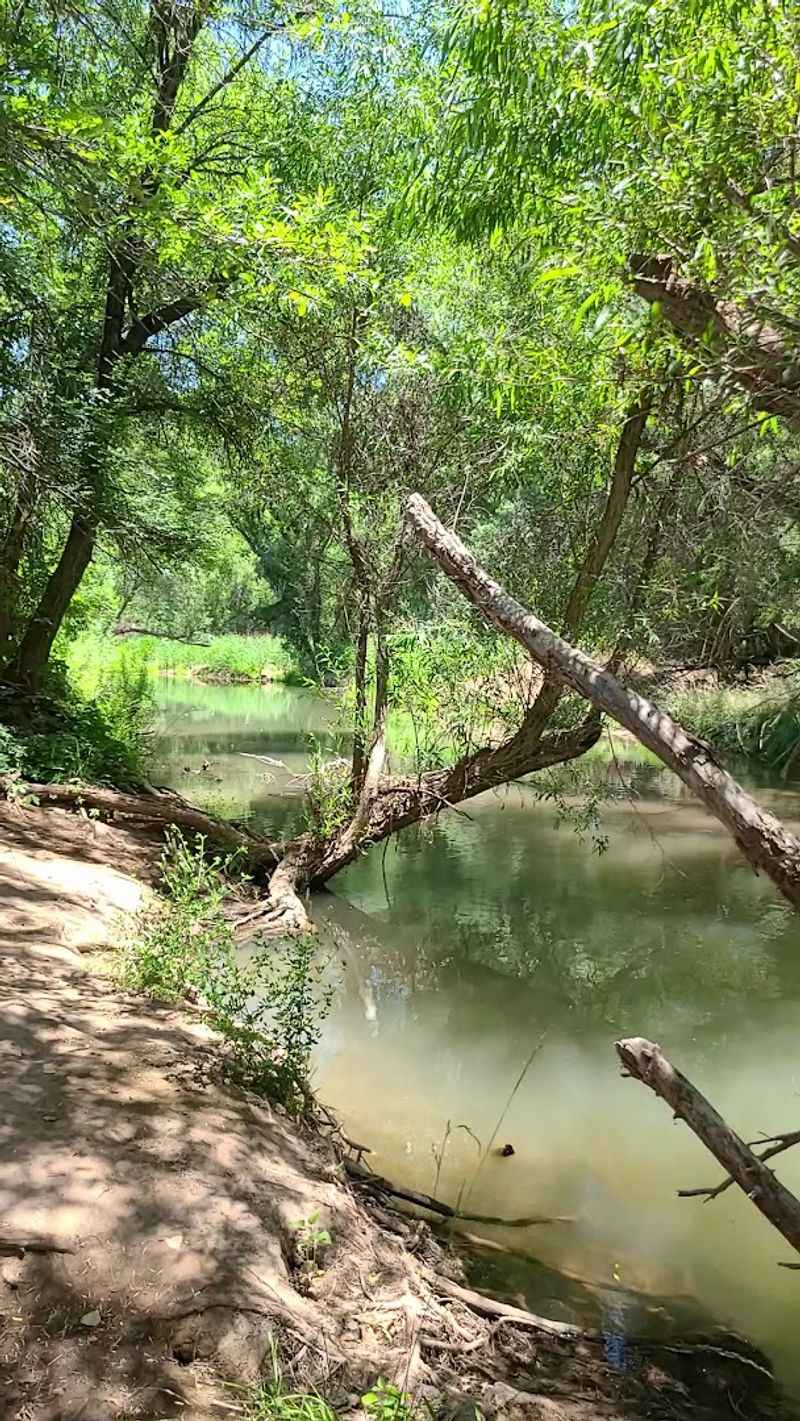 Mountain Biking Opportunities