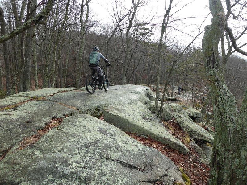 Mountain Biking Through Wild, Winding Paths