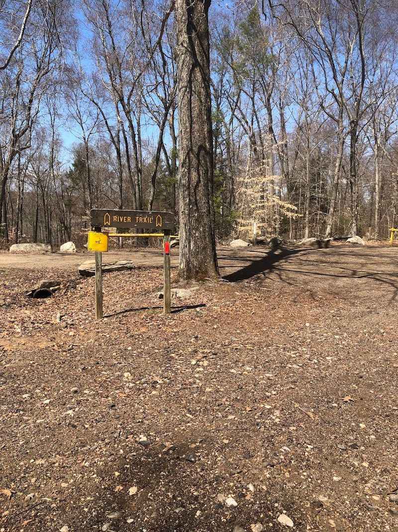 Mountain Biking Trails That Keep Riders Coming Back