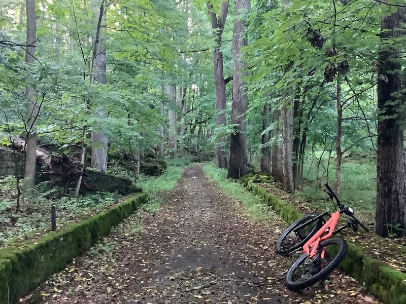 Mountain Biking Trails That Keep Riders Coming Back Mountain Biking Trails That Keep Riders Coming Back