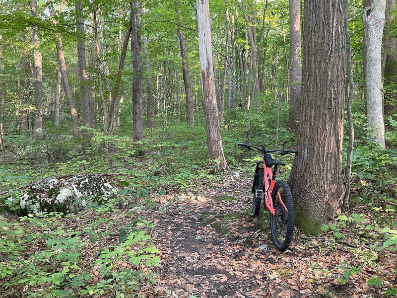 Mountain Biking Trails That Will Blow Your Mind