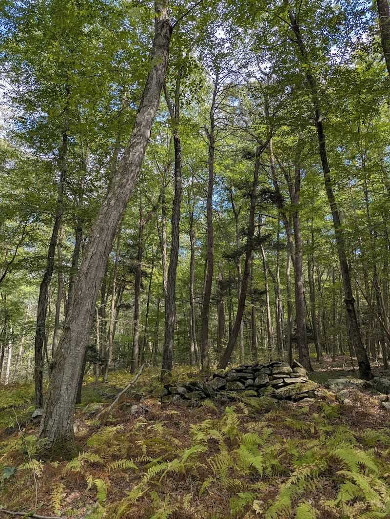 Mountain Biking Trails Worth Every Pedal Mountain Biking Trails Worth Every Pedal