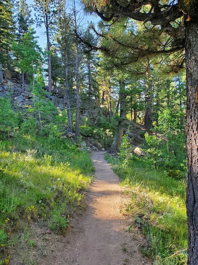 Mountain Biking Trails for Every Skill Level Mountain Biking Trails for Every Skill Level