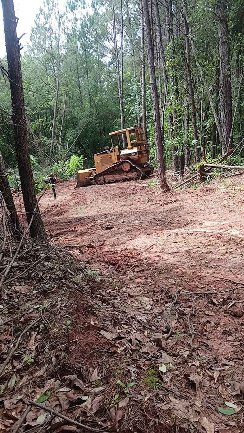 Mountain Biking the Foothills: Trails Built for Thrill Seekers