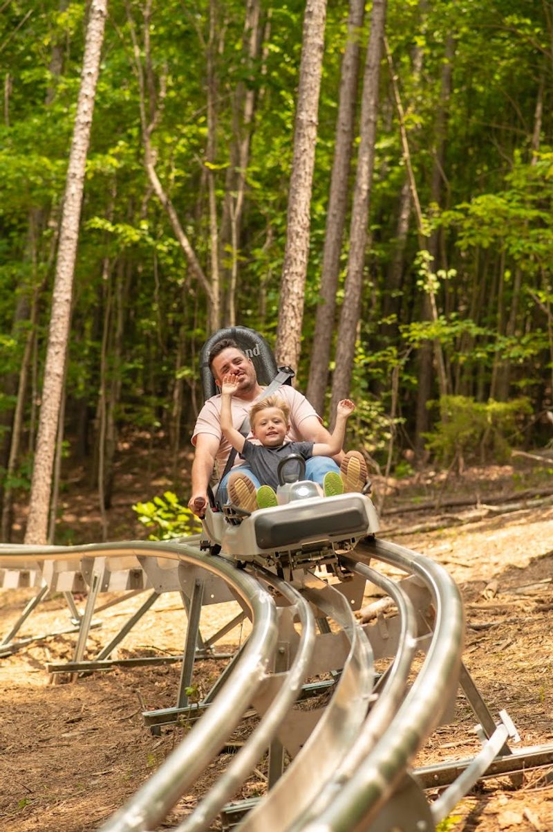 Mountain Coaster Thrills Hidden in the Hills Mountain Coaster Thrills Hidden in the Hills