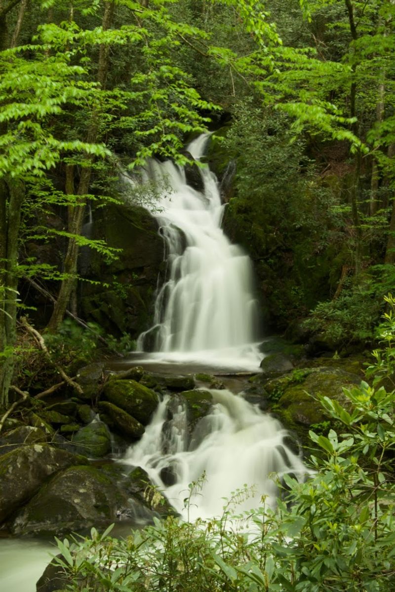Mouse Creek Falls and the Easy Trail to Get There Mouse Creek Falls and the Easy Trail to Get There