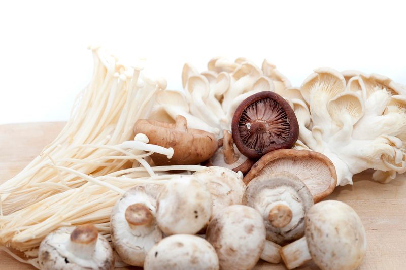 Mushrooms Mushrooms