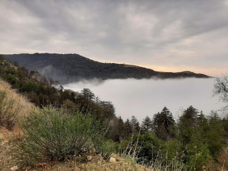 Nacimiento-Fergusson Road - California