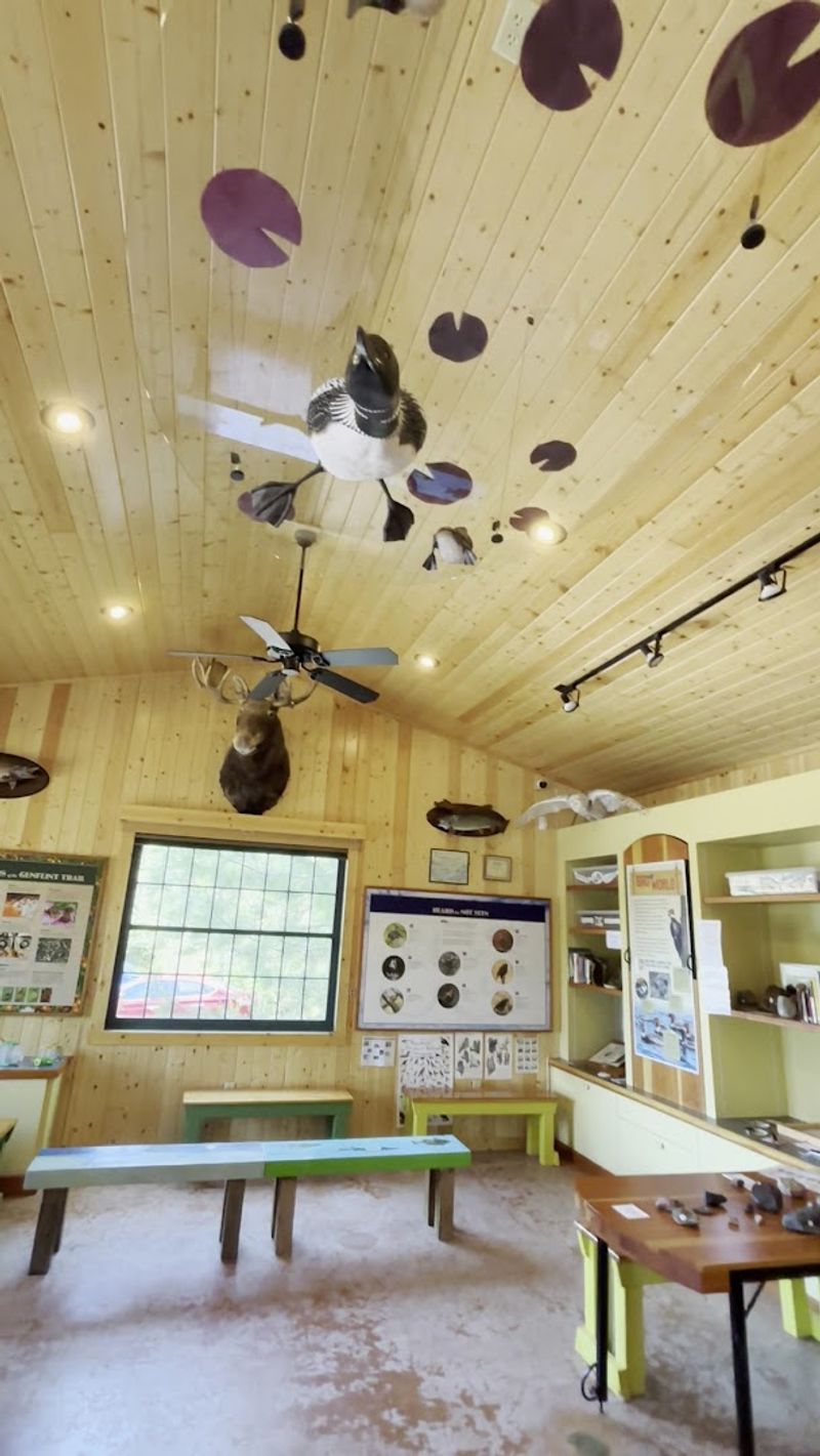 Nature Center With Microscopes and Trail Cam Footage