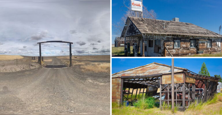 Nature Has Reclaimed This Mysterious Oregon Ghost Town, And It’s Incredible To See