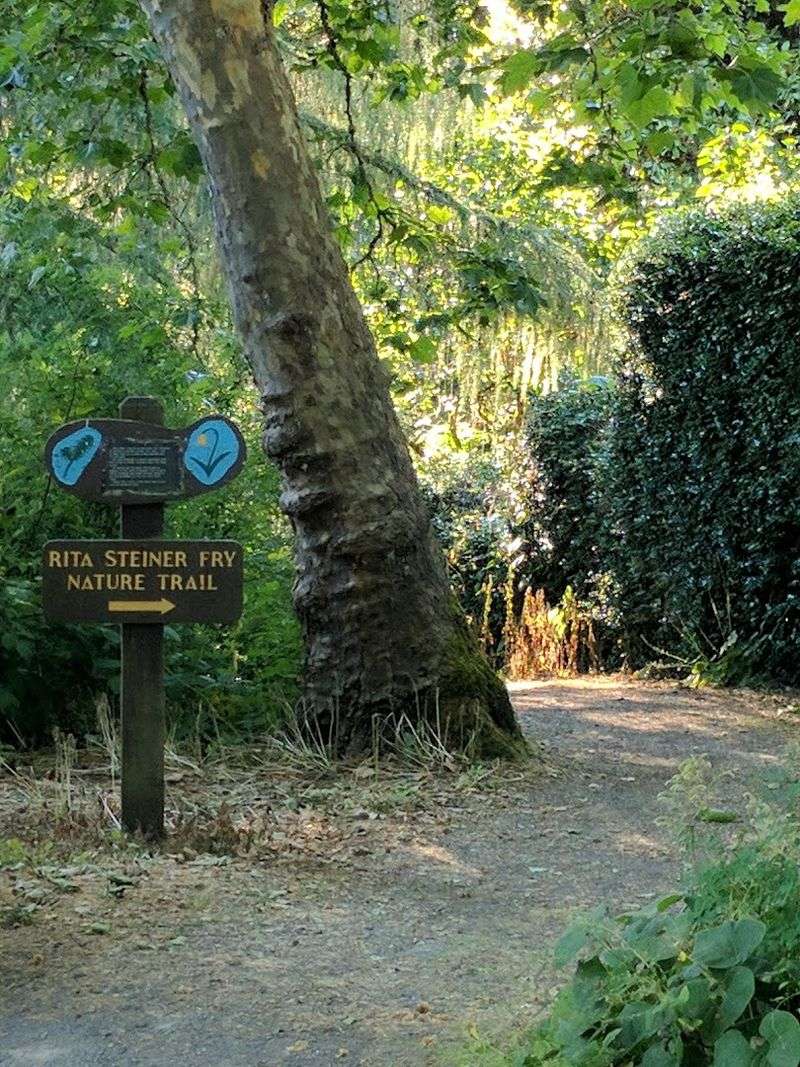 Nature Trails Along Pringle Creek
