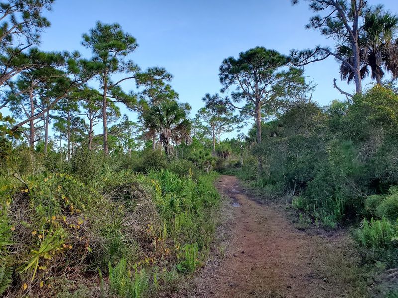 Nature Trails Through Untouched Wilderness Nature Trails Through Untouched Wilderness