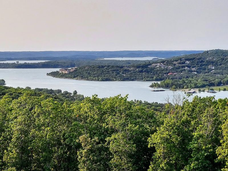 Nature Trails Through the Ozark Woods