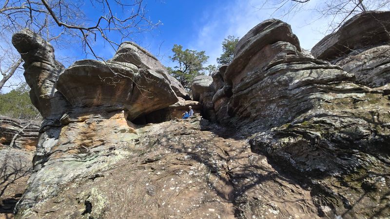Navigating Fallen Trees and Rocky Terrain Like a Pro