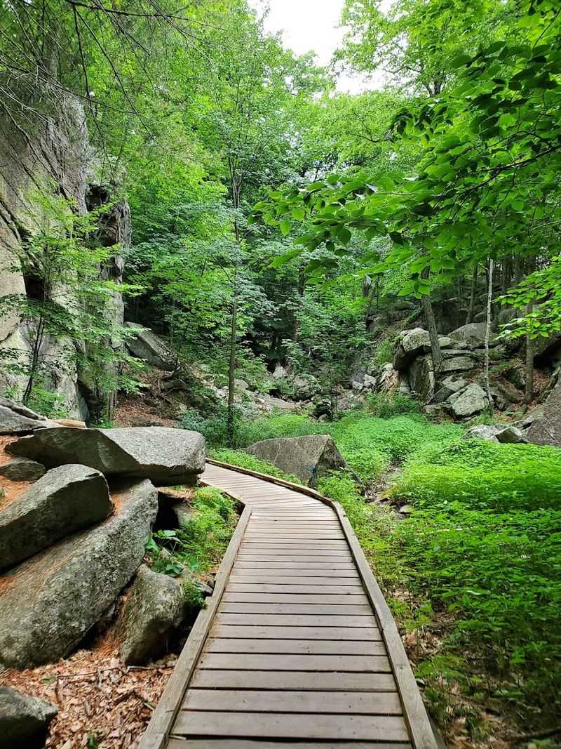 Navigating the Chasm Loop Trail
