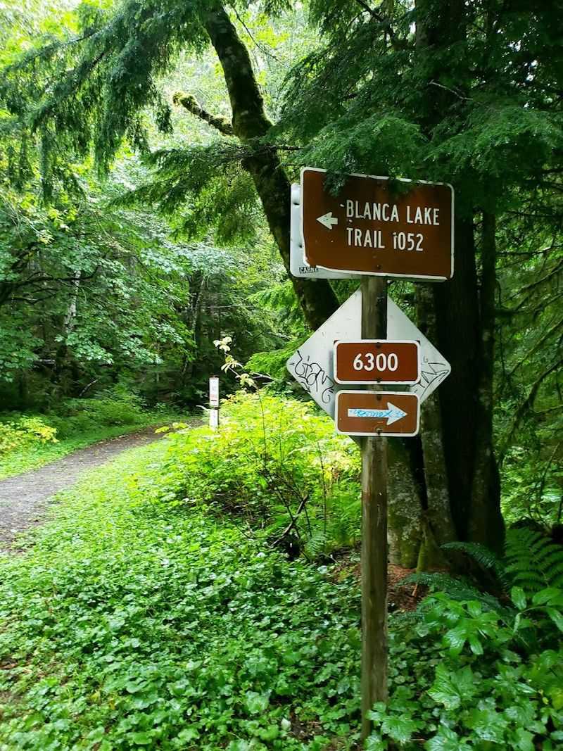 Navigating the Gravel Road to the Trailhead