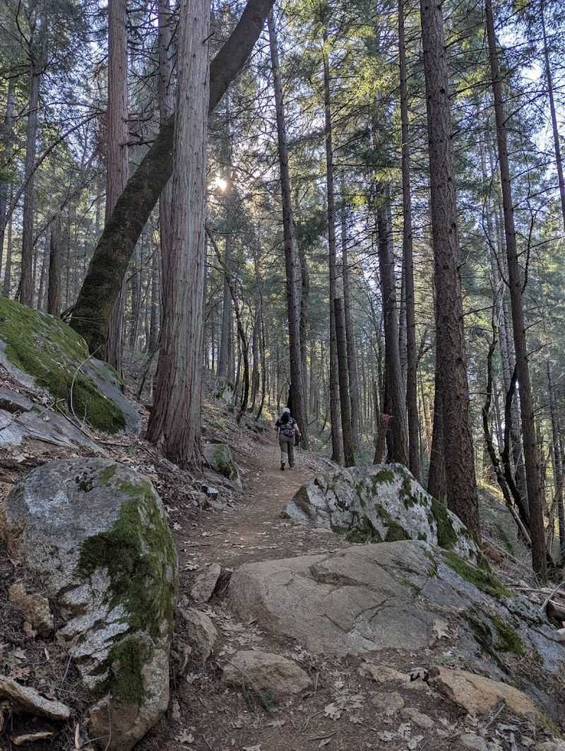 Navigating the Loop Trail Layout