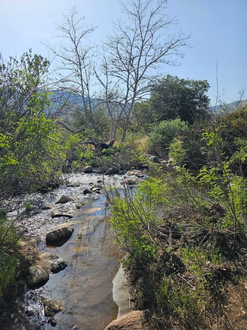 Navigating the Three Water Crossings