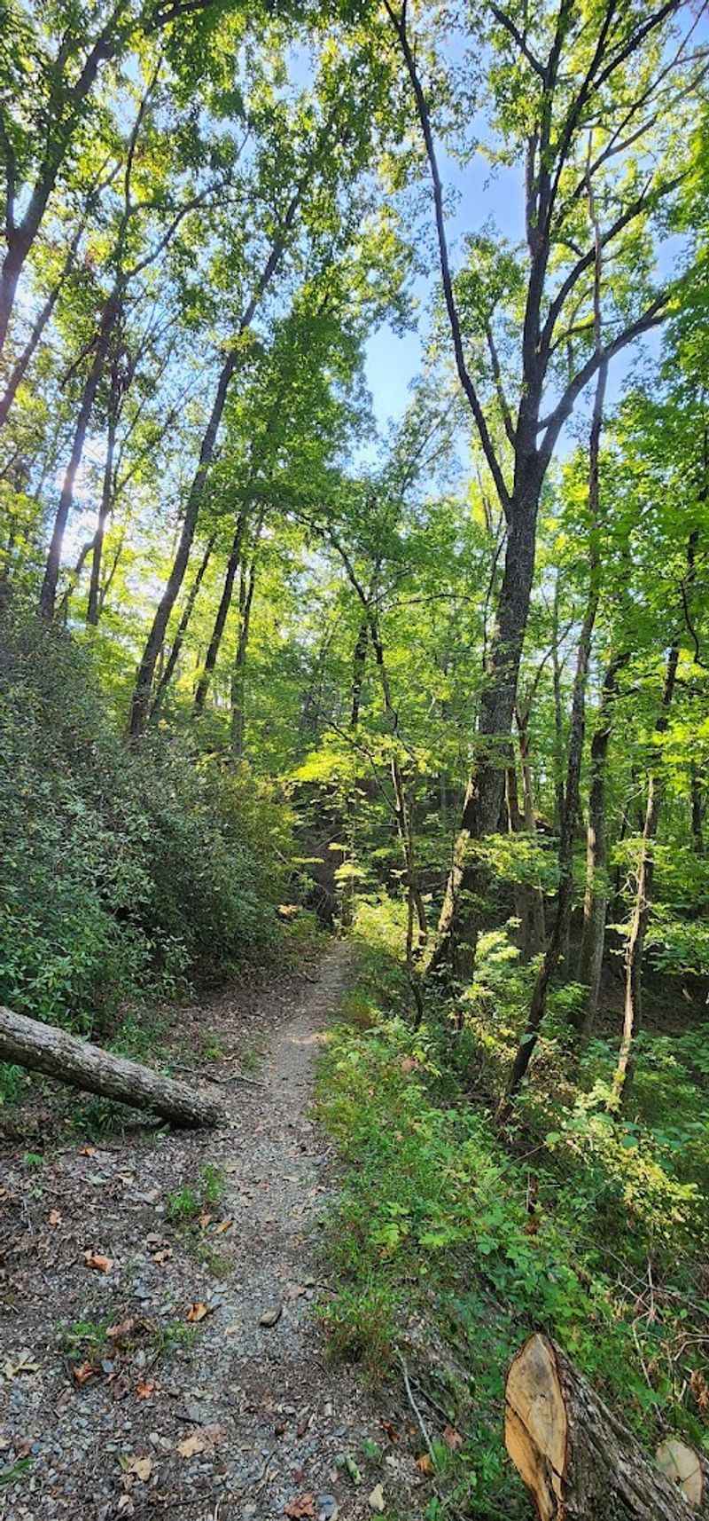 Navigating to the Falls: Finding the Hidden Cutoff Trail Navigating to the Falls: Finding the Hidden Cutoff Trail