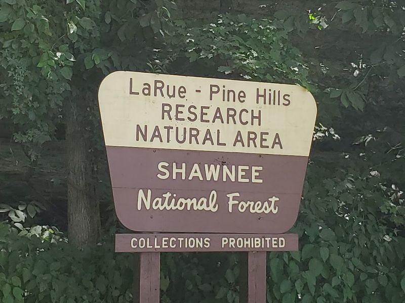 Nearby Attractions Worth Adding to Your Itinerary