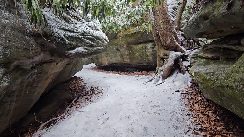 Nearby Attractions Worth Adding to Your Trip