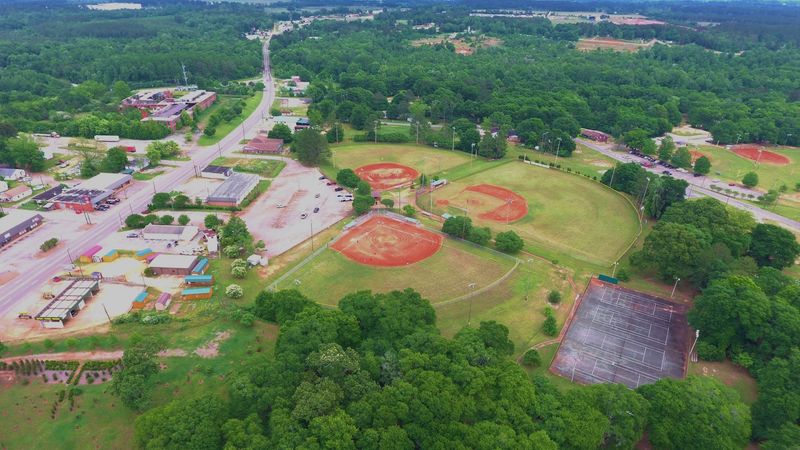 Nearby Forests and Outdoor Spaces Worth Exploring