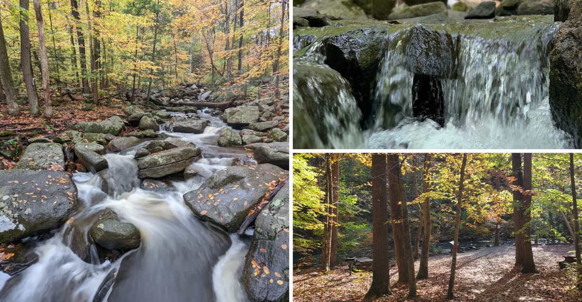 New Jersey State Park That Feels Like A Fairytale