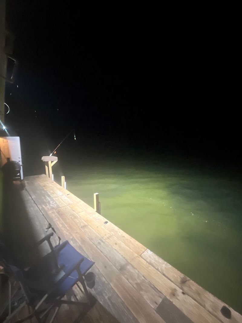 Night Fishing Under the Cabin Lights Night Fishing Under the Cabin Lights