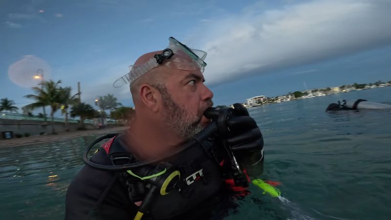 Night Snorkeling at Blue Heron Bridge