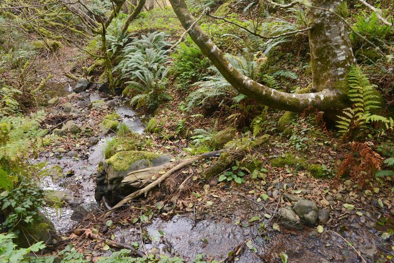No Potable Water — Here's How to Prepare