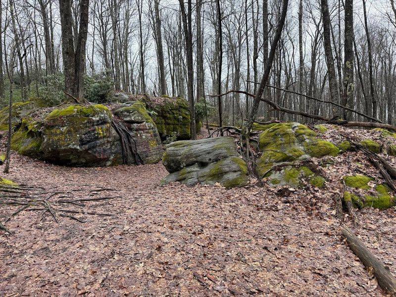 No Trail Markers? No Problem. Here Is How to Navigate