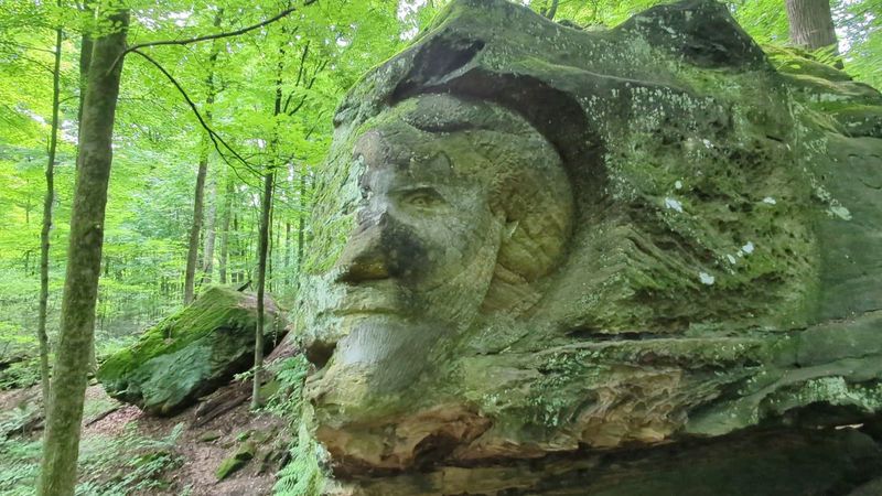Noble Stuart: The Self-Taught Artist of the Forest Noble Stuart: The Self-Taught Artist of the Forest