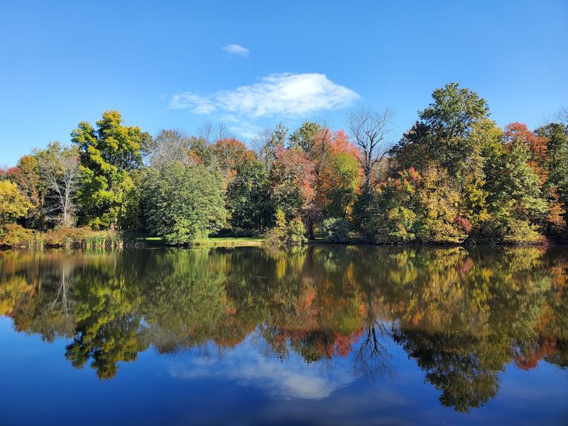 Nomahegan Park, a Hidden Gem Worth Discovering Nomahegan Park, a Hidden Gem Worth Discovering