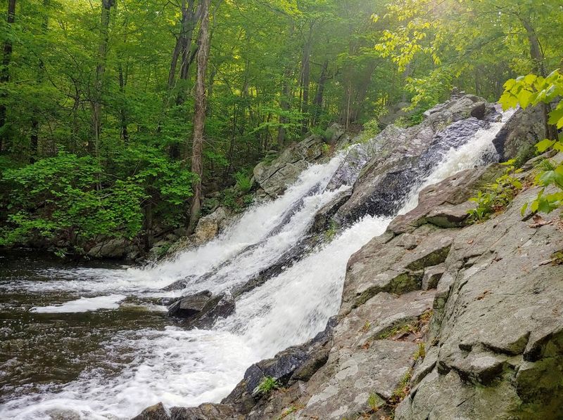 Norvin Green State Forest – Ringwood, New Jersey