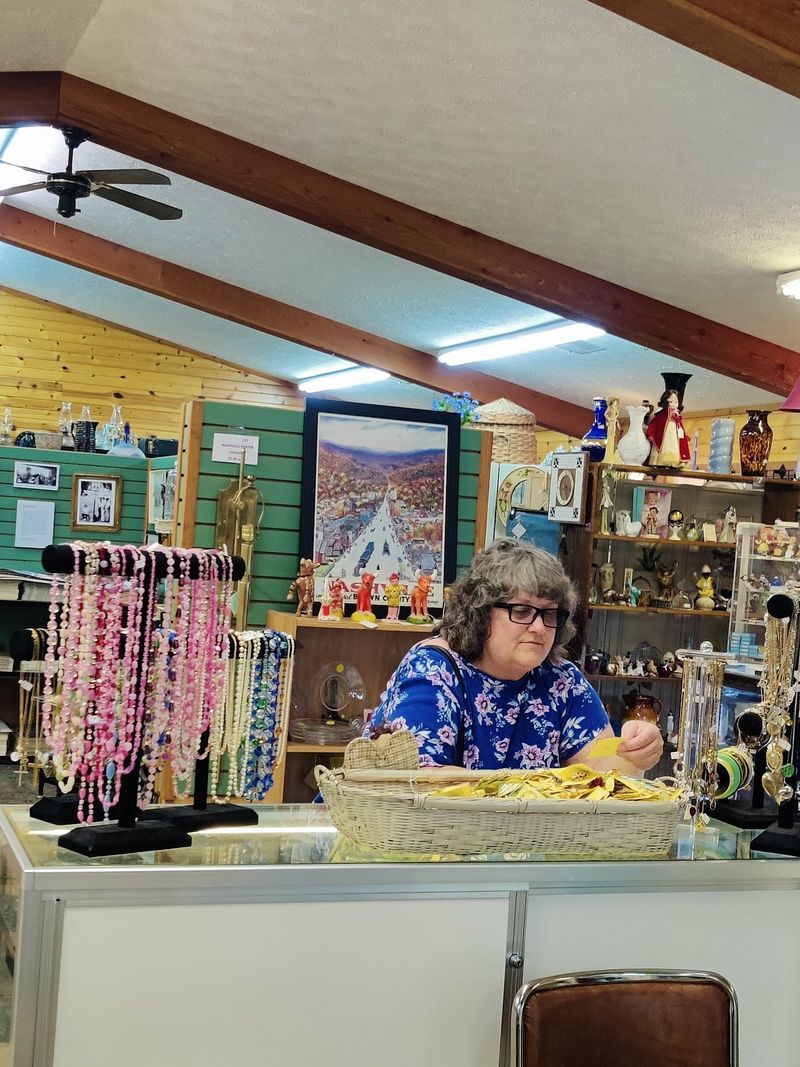 Nosey the Cat: The Four-Legged Store Manager