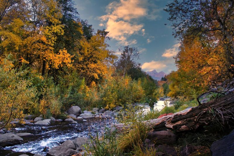 Oak Creek Canyon: The Heart of the Drive