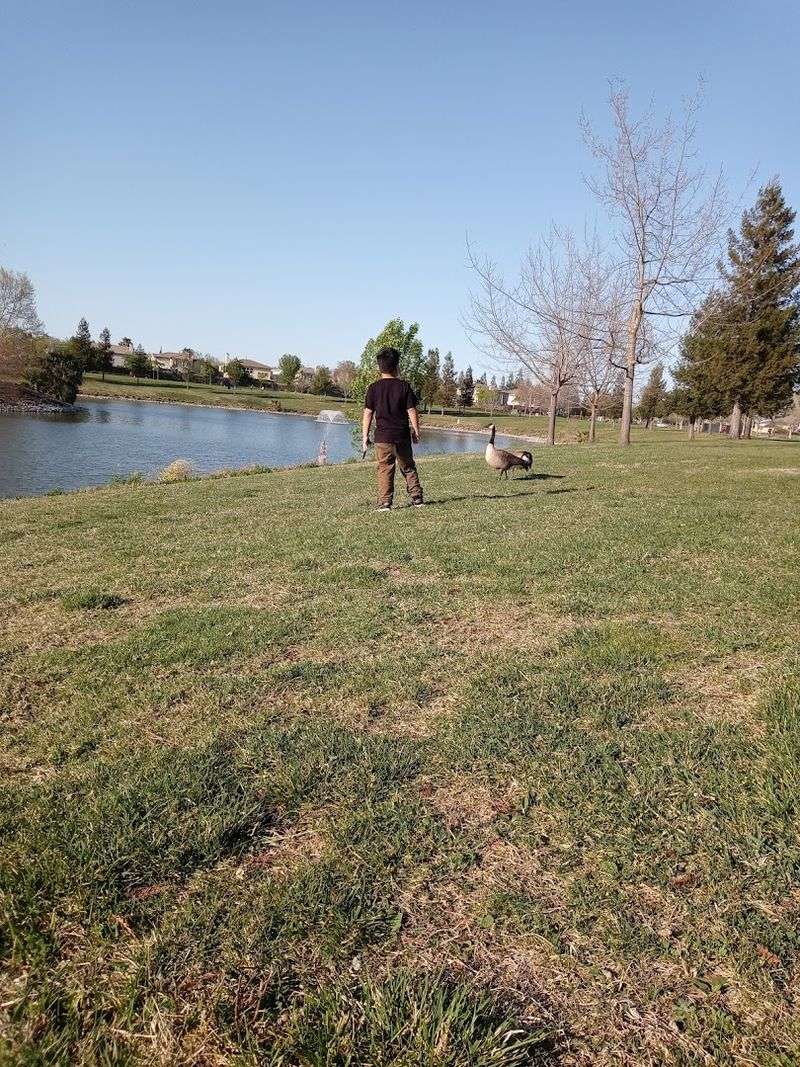 Off-Leash Dog Park With Separate Areas for Every Pup