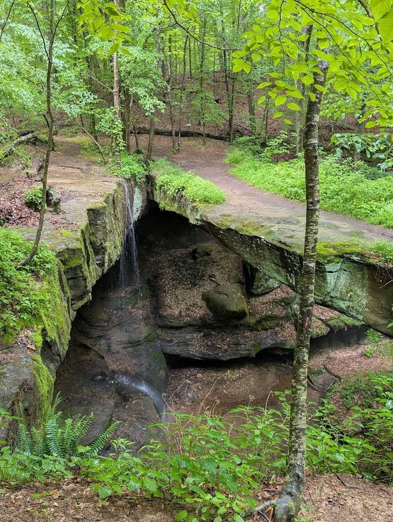 Ohio's Largest Natural Sandstone Arch