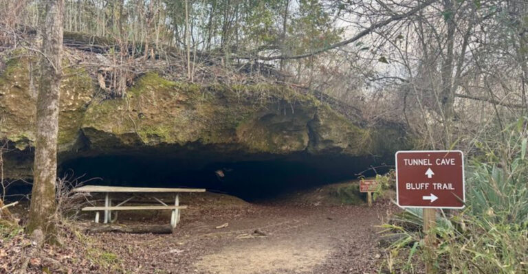 One Of Florida’s Most Unexpected Hiking Adventures Leads Through A Cave