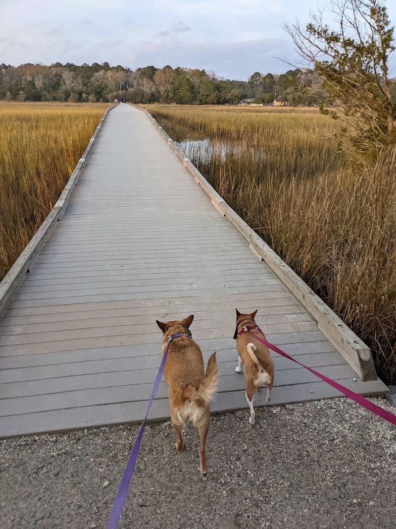 One of the Most Dog-Friendly Parks Around Charleston One of the Most Dog-Friendly Parks Around Charleston