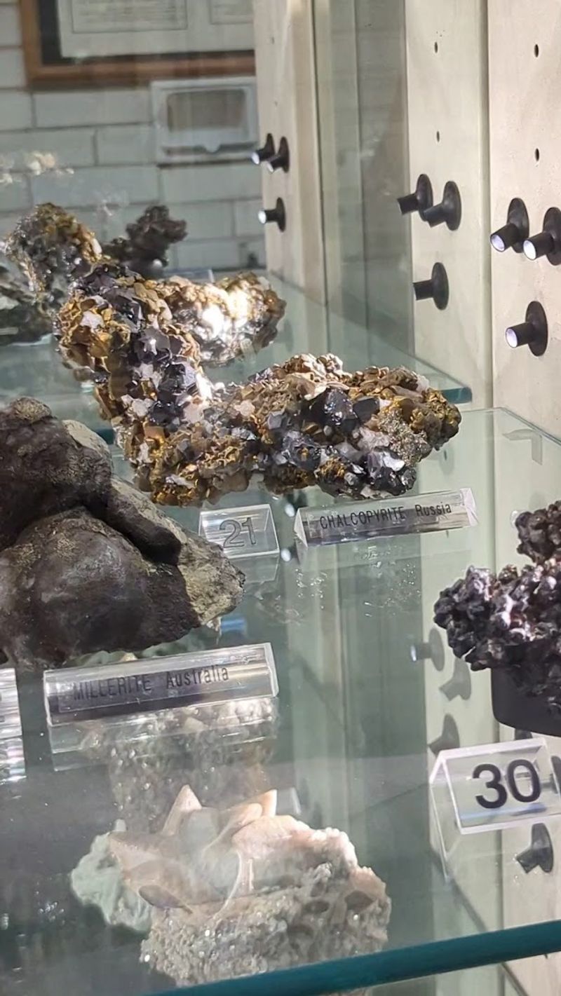One of the World's Richest Zinc Ore Deposits