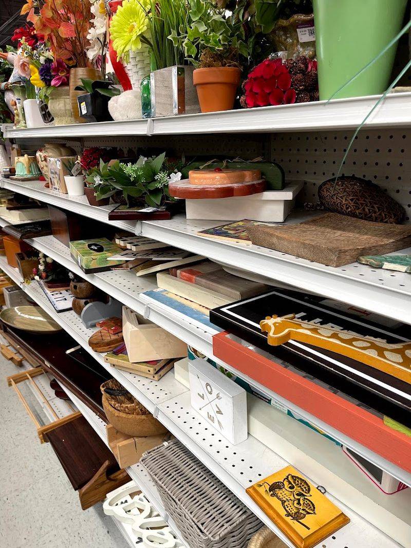 Online Shopping Options for Remote Treasure Hunters