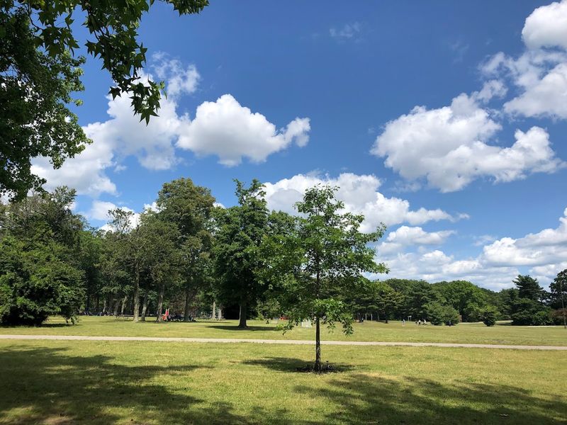 Open Fields Perfect for Sports and Relaxation Open Fields Perfect for Sports and Relaxation