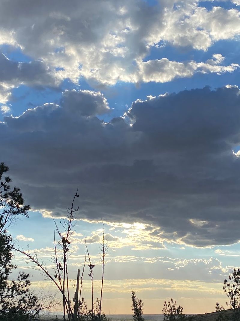 Oracle, Arizona