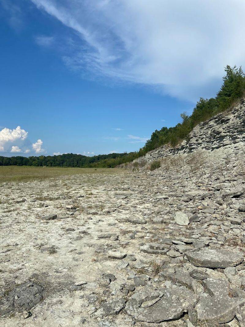 Ordovician-Era Marine Fossils You Can Actually Find