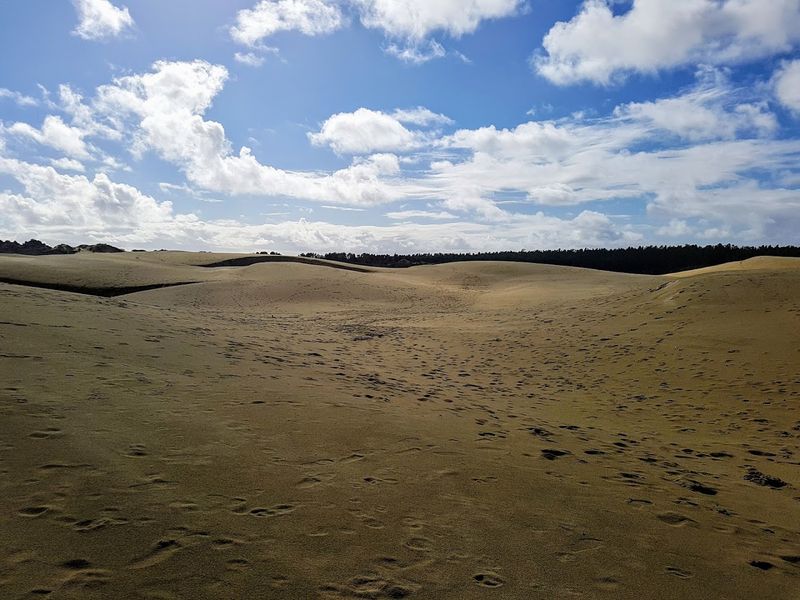 Oregon Dunes National Recreation Area Next Door